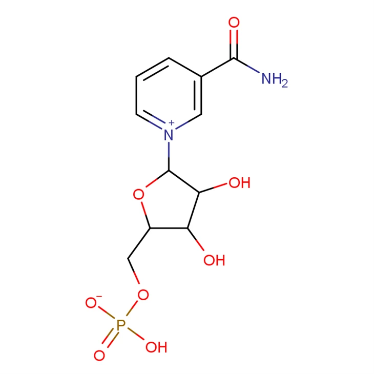 B-Nikotinamidmononukleotid(NMN) CAS#1094-61-7